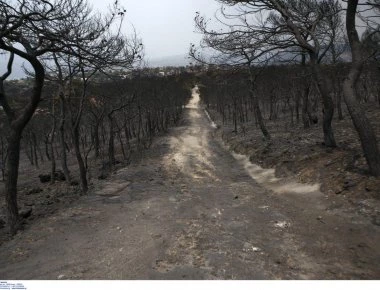 Στα φυσιολογικά επίπεδα η ραδιενέργεια στο Μάτι
